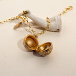 Vintage locket to hold notes, seeds, photos and more 